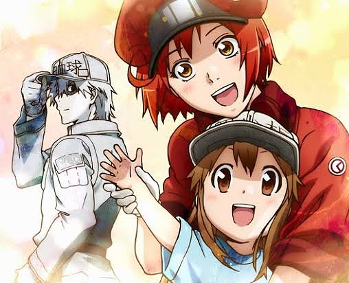 Top 12 Personagens Mais Fortes do Anime Hataraku Saibou 