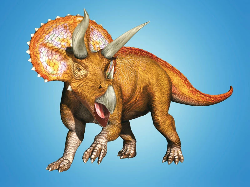 triceratops-3-1118734